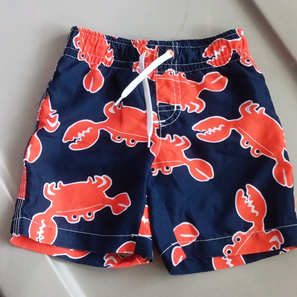 Crazy 8 crab print swim trunks